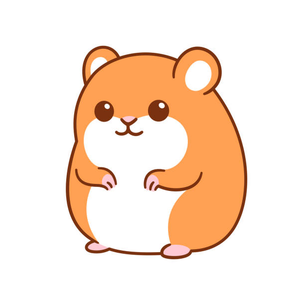 Small Rodent